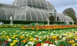 Jardines de Kew